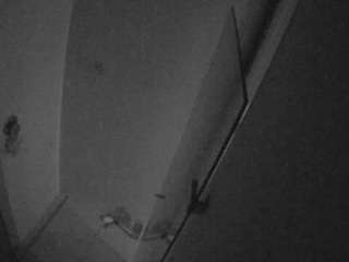 Casa Salsa Bathroom 7